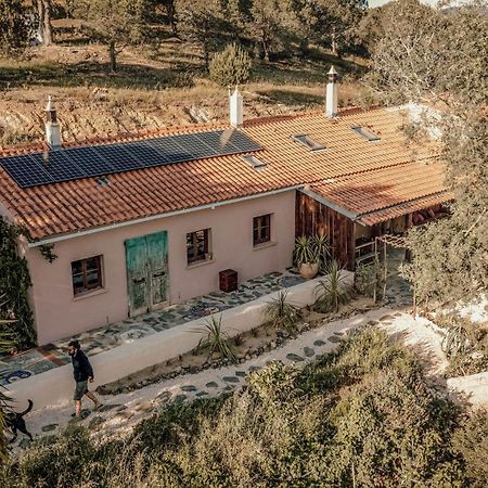 The Lemon Lodge Aljezur Dış mekan fotoğraf