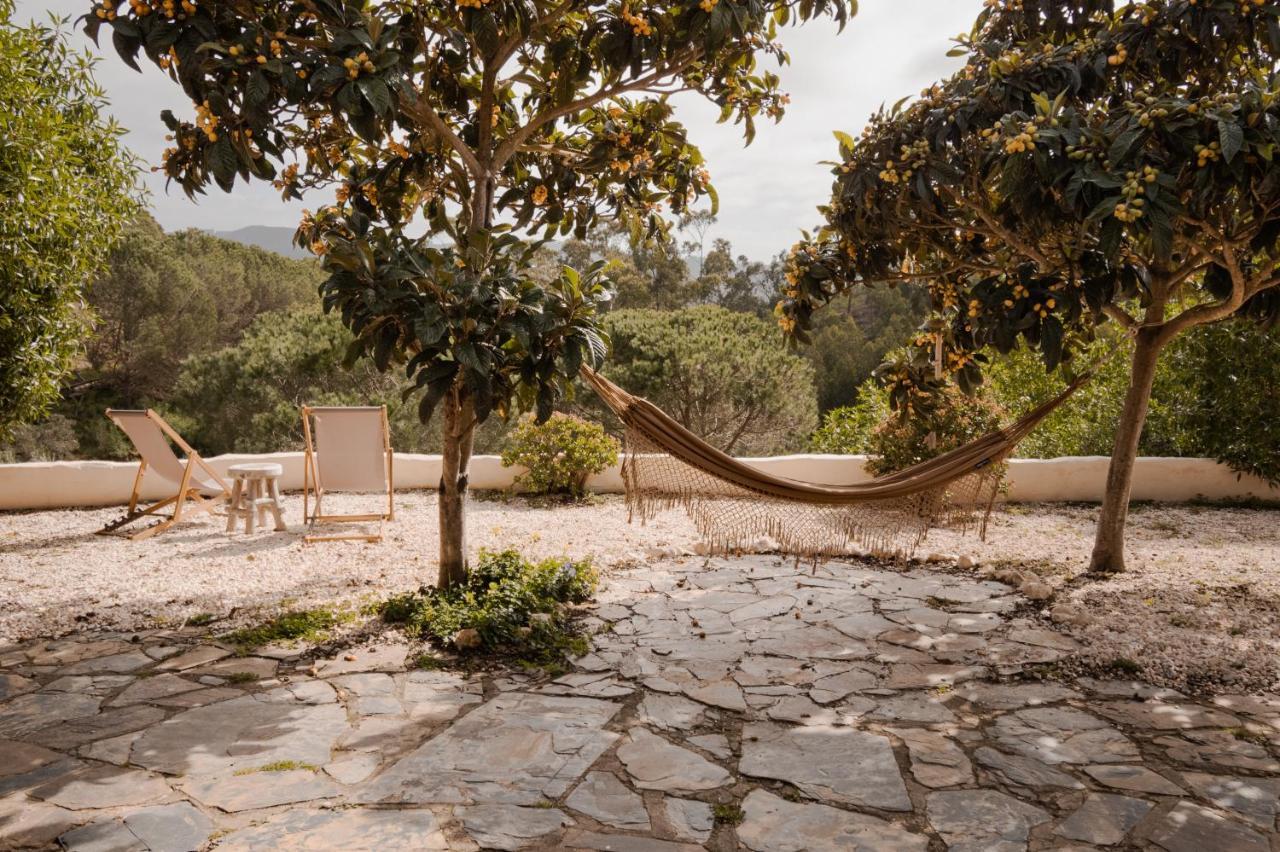 The Lemon Lodge Aljezur Dış mekan fotoğraf